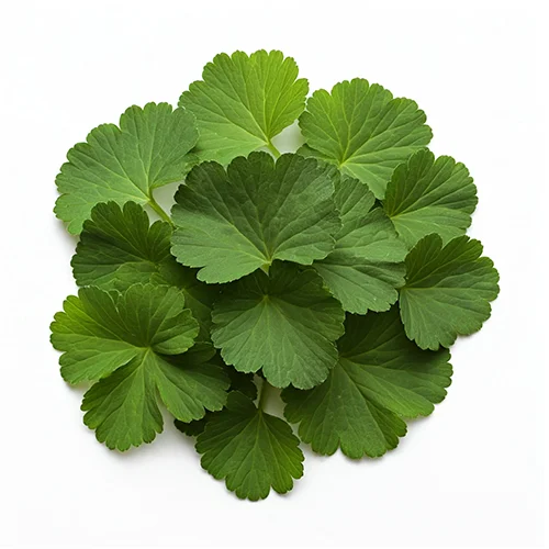 Ingredient Image
